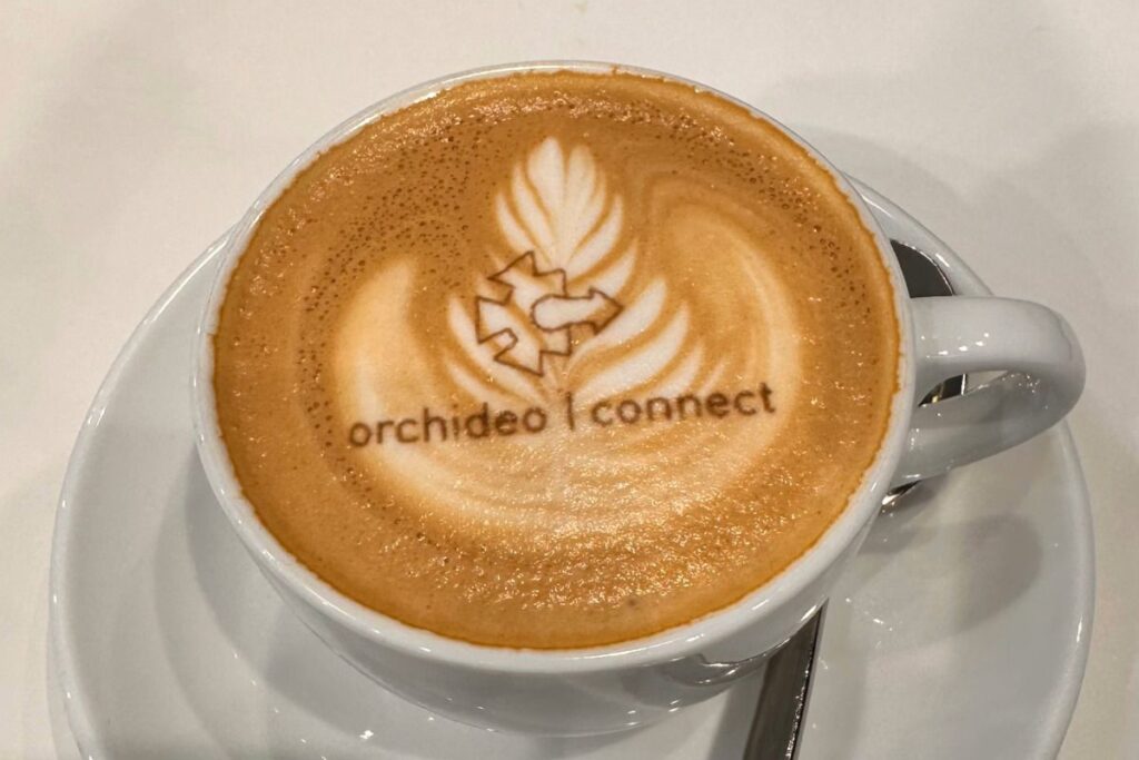 orchideo | connect