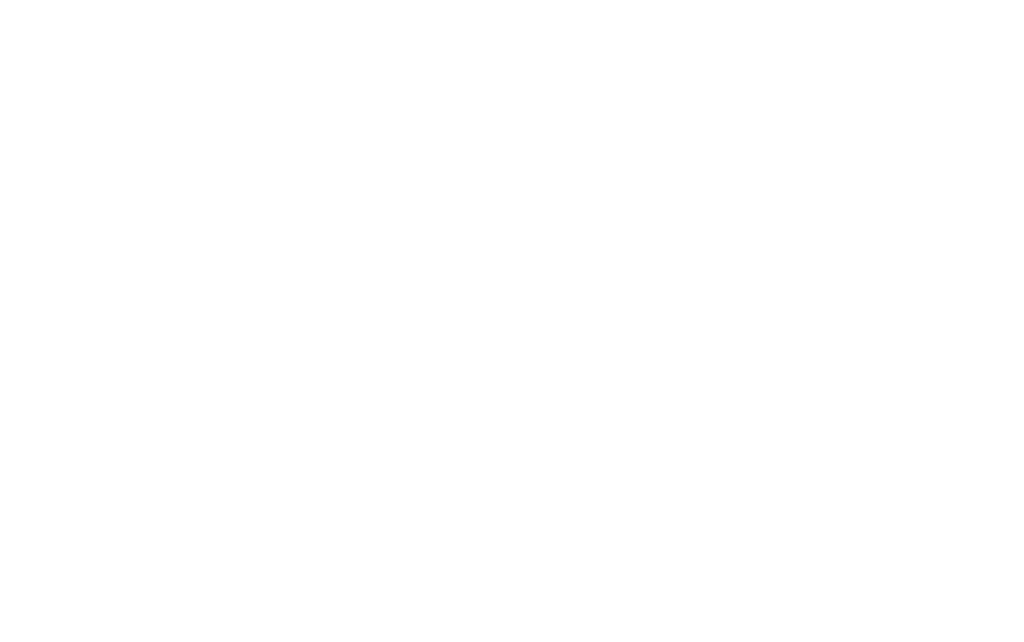 Logo Icon
