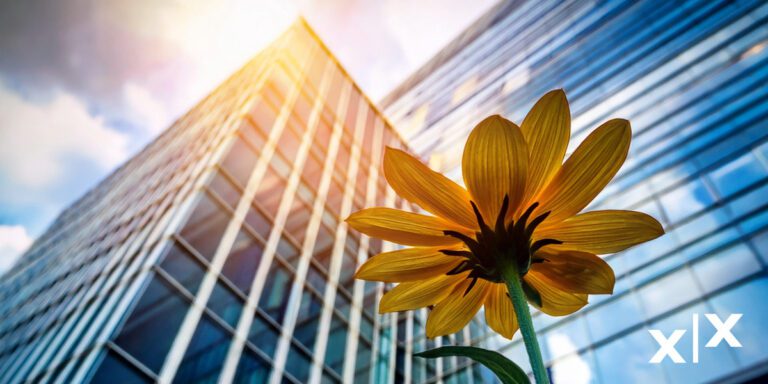 SAP-Fiori Elements Workshop