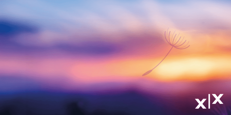 eXXcellent solutions Keyvisual 20261